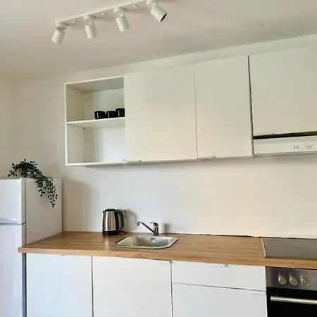 Modern Danube Apartment With Balcony & Free Parking Vienna Exterior photo