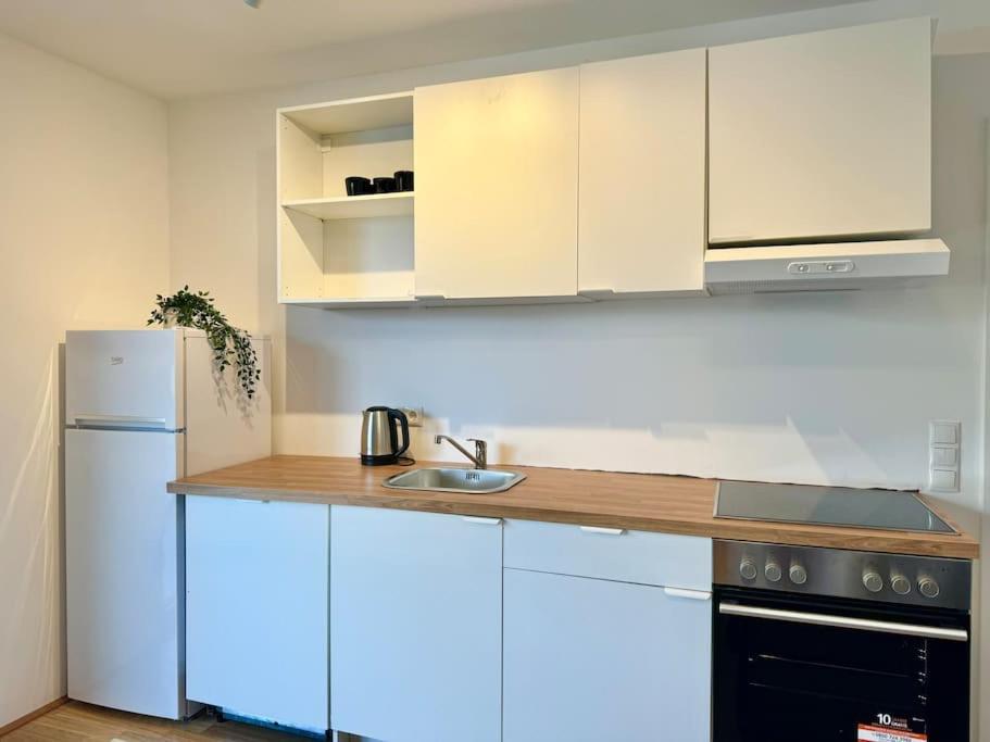 Apartament Modern Danube With Balcony & Free Parking Wiedeń